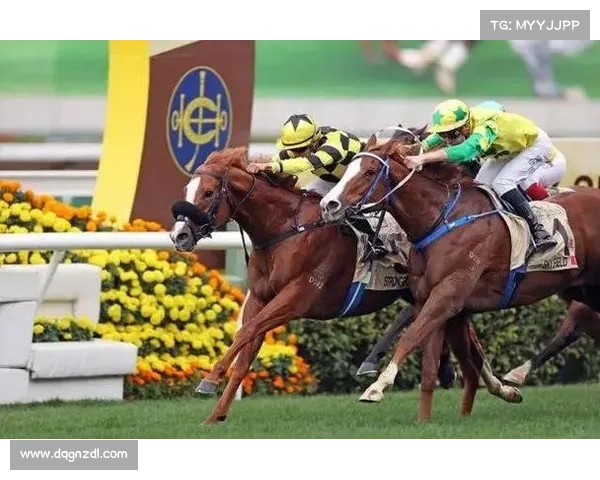 香港体育赛马项目害了多少人